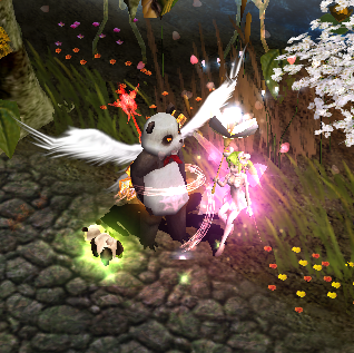 Cherry Blossom Event